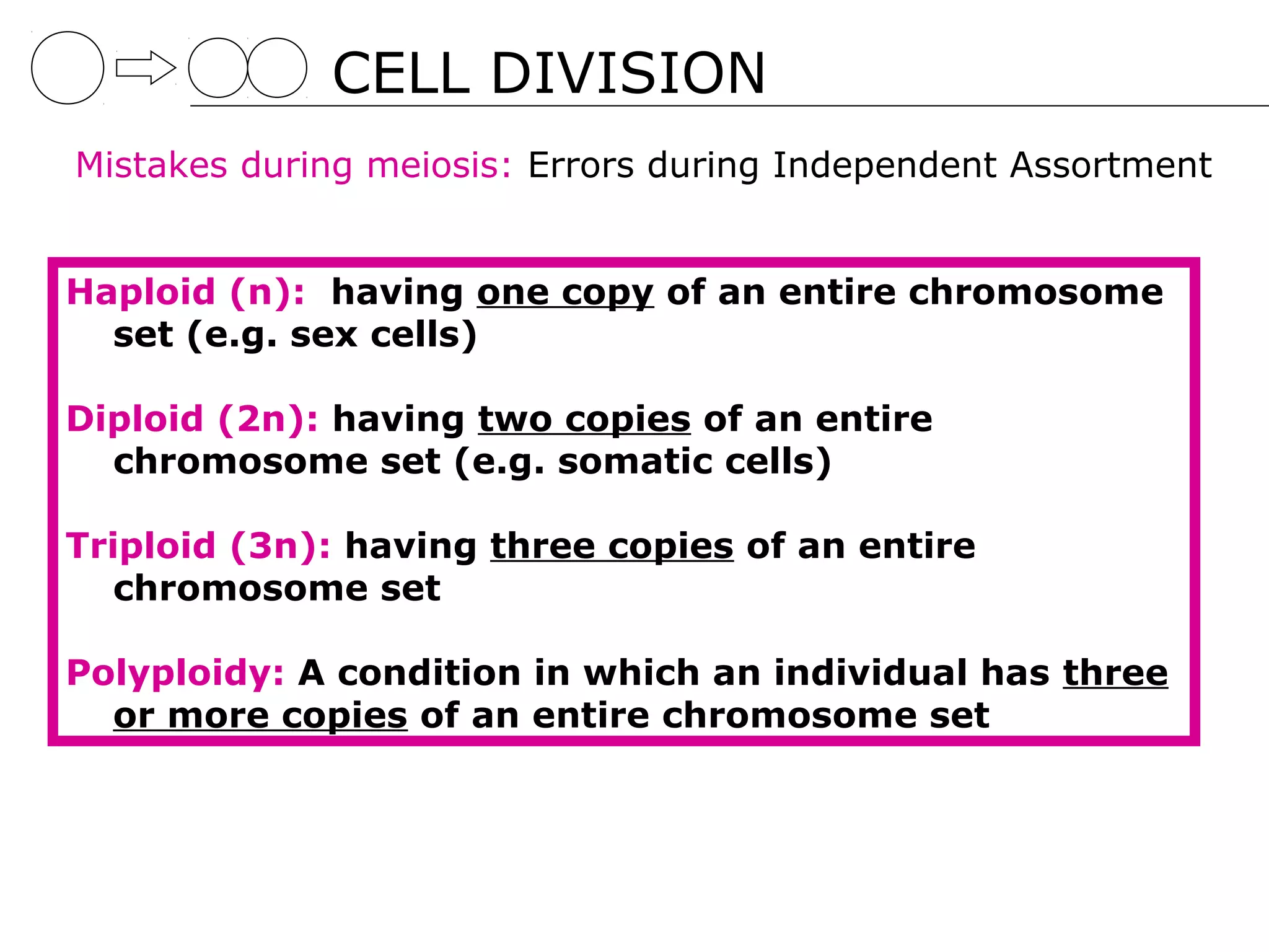CELL DIVISION
Mistakes during meiosis: Errors during Independent Assortment


Haploid (n): having one copy of an entire chromosome
  set (e.g. sex cells)

Diploid (2n): having two copies of an entire
  chromosome set (e.g. somatic cells)

Triploid (3n): having three copies of an entire
   chromosome set

Polyploidy: A condition in which an individual has three
  or more copies of an entire chromosome set
 
