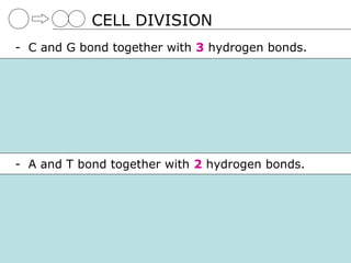 CELL DIVISION
- C and G bond together with 3 hydrogen bonds.




- A and T bond together with 2 hydrogen bonds.
 