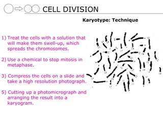 CELL DIVISION
                                       Karyotype: Technique


1) Treat the cells with a solution that
   will make them swell-up, which
   spreads the chromosomes.

2) Use a chemical to stop mitosis in
   metaphase.

3) Compress the cells on a slide and
   take a high resolution photograph.

5) Cutting up a photomicrograph and
   arranging the result into a
   karyogram.
 
