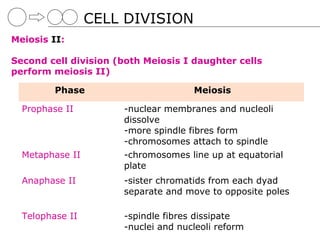 CELL DIVISION
Meiosis II:

Second cell division (both Meiosis I daughter cells
perform meiosis II)

         Phase                       Meiosis

  Prophase II         -nuclear membranes and nucleoli
                      dissolve
                      -more spindle fibres form
                      -chromosomes attach to spindle
  Metaphase II        -chromosomes line up at equatorial
                      plate
  Anaphase II         -sister chromatids from each dyad
                      separate and move to opposite poles

  Telophase II        -spindle fibres dissipate
                      -nuclei and nucleoli reform
 