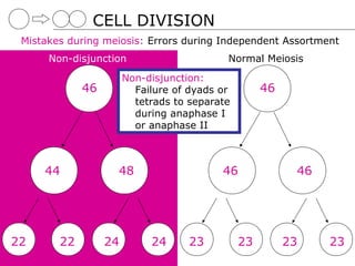 CELL DIVISION
 Mistakes during meiosis: Errors during Independent Assortment
      Non-disjunction                      Normal Meiosis
                       Non-disjunction:
             46          Failure of dyads or        46
                         tetrads to separate
                         during anaphase I
                         or anaphase II



     44            48                     46              46




22      22        24        24      23         23        23    23
 