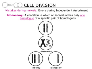 CELL DIVISION
Mistakes during meiosis: Errors during Independent Assortment
 Monosomy: A condition in which an individual has only one
        homologue of a specific pair of homologues
 
