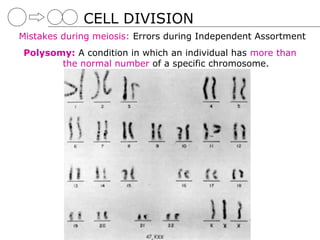 CELL DIVISION
Mistakes during meiosis: Errors during Independent Assortment
Polysomy: A condition in which an individual has more than
       the normal number of a specific chromosome.
 