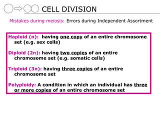 CELL DIVISION
Mistakes during meiosis: Errors during Independent Assortment


Haploid (n): having one copy of an entire chromosome
  set (e.g. sex cells)

Diploid (2n): having two copies of an entire
  chromosome set (e.g. somatic cells)

Triploid (3n): having three copies of an entire
   chromosome set

Polyploidy: A condition in which an individual has three
  or more copies of an entire chromosome set
 
