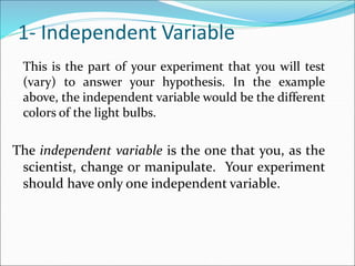 1- Independent Variable
This is the part of your experiment that you will test
(vary) to answer your hypothesis. In the example
above, the independent variable would be the different
colors of the light bulbs.
The independent variable is the one that you, as the
scientist, change or manipulate. Your experiment
should have only one independent variable.
 