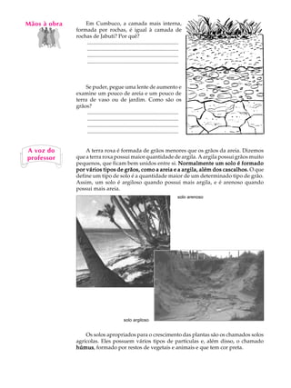 Mãos à obra
   A U L A        Em Cumbuco, a camada mais interna,
              formada por rochas, é igual à camada de

     6        rochas de Jabuti? Por quê?
                  ....................................................................
                  ....................................................................
                  ....................................................................
                  ....................................................................



                  Se puder, pegue uma lente de aumento e
              examine um pouco de areia e um pouco de
              terra de vaso ou de jardim. Como são os
              grãos?
                   ....................................................................
                   ....................................................................
                   ....................................................................
                   ....................................................................


A voz do          A terra roxa é formada de grãos menores que os grãos da areia. Dizemos
professor     que a terra roxa possui maior quantidade de argila. A argila possui grãos muito
              pequenos, que ficam bem unidos entre si. Normalmente um solo é formado
              por vários tipos de grãos, como a areia e a argila, além dos cascalhos. O que
              define um tipo de solo é a quantidade maior de um determinado tipo de grão.
              Assim, um solo é argiloso quando possui mais argila, e é arenoso quando
              possui mais areia.
                                                                                    solo arenoso




                                              solo argiloso


                  Os solos apropriados para o crescimento das plantas são os chamados solos
              agrícolas. Eles possuem vários tipos de partículas e, além disso, o chamado
              húmus formado por restos de vegetais e animais e que tem cor preta.
              húmus,
 