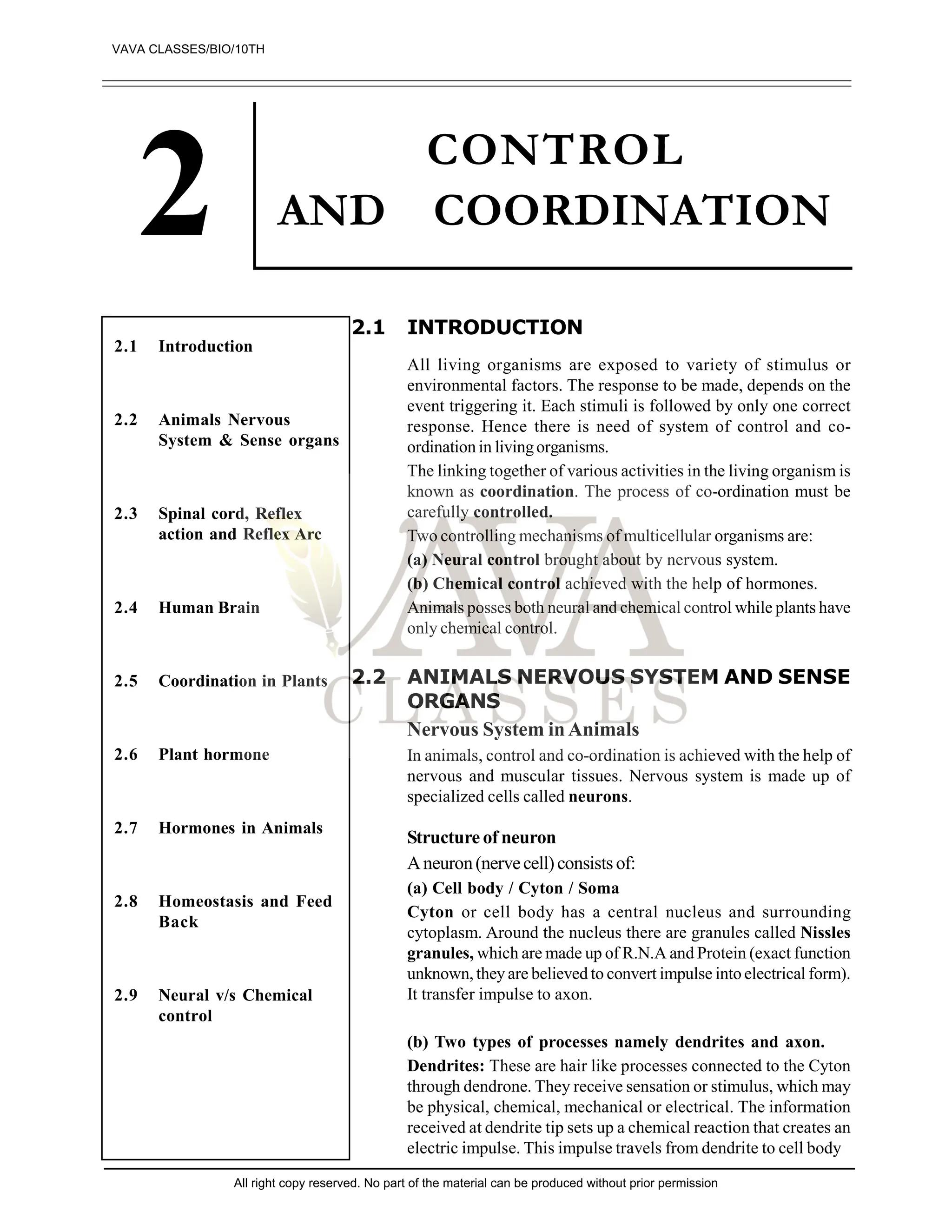 CONTROL
AND COORDINATION
2.1 INTRODUCTION
All living organisms are exposed to variety of stimulus or
environmental factors. The response to be made, depends on the
event triggering it. Each stimuli is followed by only one correct
response. Hence there is need of system of control and co-
ordination in livingorganisms.
The linking together of various activities in the living organism is
known as coordination. The process of co-ordination must be
carefully controlled.
Two controlling mechanisms of multicellular organisms are:
(a) Neural control brought about by nervous system.
(b) Chemical control achieved with the help of hormones.
Animals posses both neural and chemical control while plants have
only chemical control.
2.2 ANIMALS NERVOUS SYSTEM AND SENSE
ORGANS
Nervous System inAnimals
In animals, control and co-ordination is achieved with the help of
nervous and muscular tissues. Nervous system is made up of
specialized cells called neurons.
Structure of neuron
Aneuron(nervecell)consists of:
(a) Cell body / Cyton / Soma
Cyton or cell body has a central nucleus and surrounding
cytoplasm. Around the nucleus there are granules called Nissles
granules, which are made up of R.N.A and Protein (exact function
unknown, they are believed to convert impulse into electrical form).
It transfer impulse to axon.
(b) Two types of processes namely dendrites and axon.
Dendrites: These are hair like processes connected to the Cyton
through dendrone. They receive sensation or stimulus, which may
be physical, chemical, mechanical or electrical. The information
received at dendrite tip sets up a chemical reaction that creates an
electric impulse. This impulse travels from dendrite to cell body
2.1 Introduction
2.2 Animals Nervous
System & Sense organs
2.3 Spinal cord, Reflex
action and Reflex Arc
2.4 Human Brain
2.5 Coordination in Plants
2.6 Plant hormone
2.7 Hormones in Animals
2.8 Homeostasis and Feed
Back
2.9 Neural v/s Chemical
control
VAVA CLASSES/BIO/10TH
All right copy reserved. No part of the material can be produced without prior permission
 