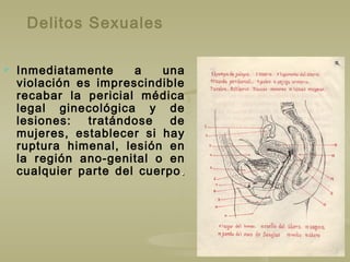 Delitos Sexuales
 Inmediatamente a una
violación es imprescindible
recabar la pericial médica
legal ginecológica y de
lesiones: tratándose de
mujeres, establecer si hay
ruptura himenal, lesión en
la región ano-genital o en
cualquier parte del cuerpo ..
 