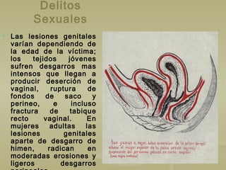 Delitos
Sexuales
 Las lesiones genitales
varían dependiendo de
la edad de la víctima;
los tejidos jóvenes
sufren desgarros mas
intensos que llegan a
producir deserción de
vaginal, ruptura de
fondos de saco y
perineo, e incluso
fractura de tabique
recto vaginal. En
mujeres adultas las
lesiones genitales
aparte de desgarro de
himen, radican en
moderadas erosiones y
ligeros desgarros
 