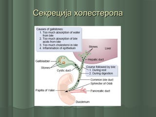 Секреција холестеролаСекреција холестерола
 