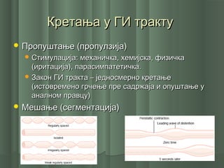 Кретања у ГИ трактуКретања у ГИ тракту
 Пропуштање (пропулзија)Пропуштање (пропулзија)
 Стимулација: механичка, хемијска, физичкаСтимулација: механичка, хемијска, физичка
(иритација), парасимпатетичка.(иритација), парасимпатетичка.
 Закон ГИ тракта – једносмерно кретањеЗакон ГИ тракта – једносмерно кретање
(истовремено грчење пре садржаја и опуштање у(истовремено грчење пре садржаја и опуштање у
аналном правцу)аналном правцу)
 Мешање (сегментација)Мешање (сегментација)
 
