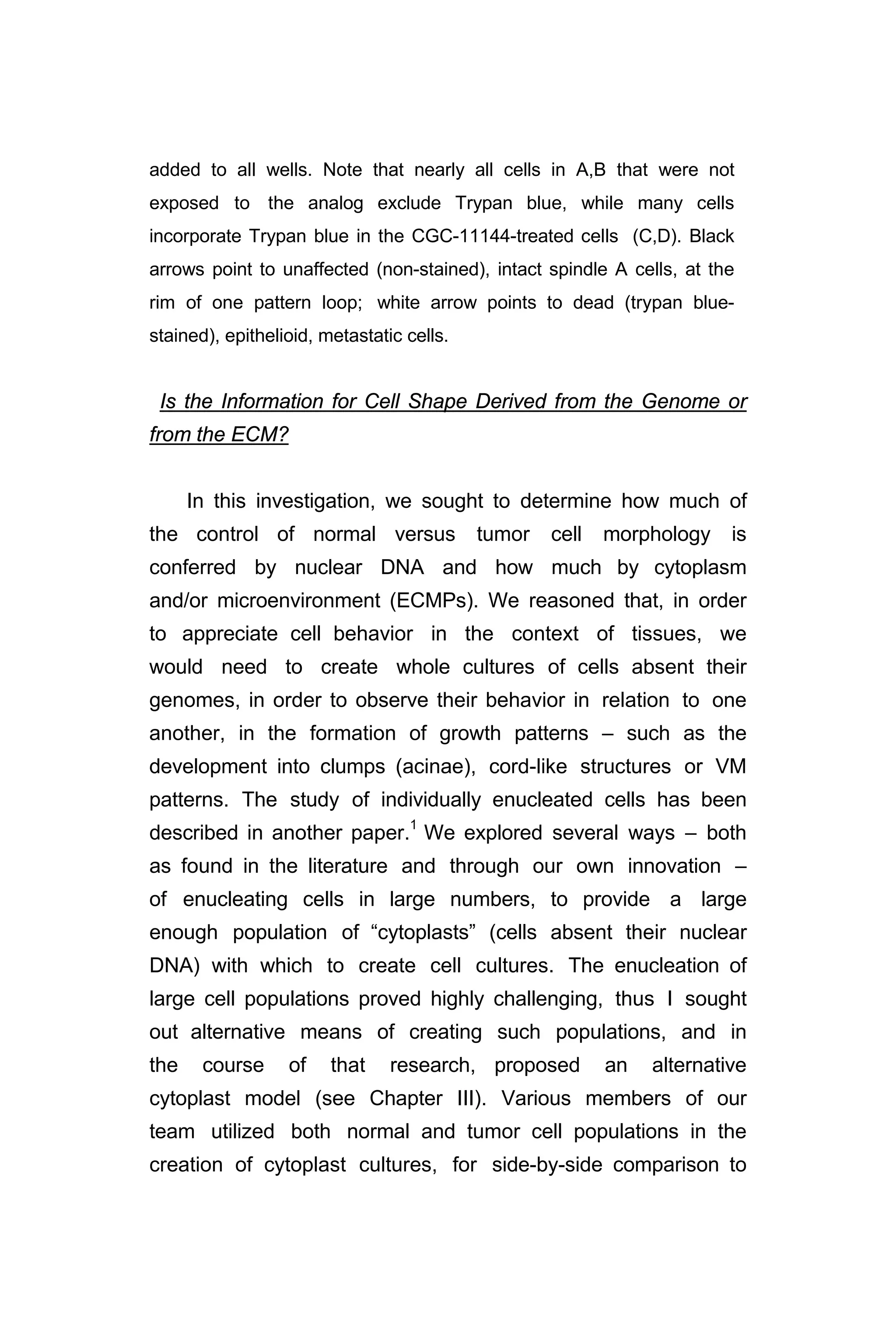 added to all wells. Note that nearly all cells in A,B that were not
exposed to the analog exclude Trypan blue, while many cells
incorporate Trypan blue in the CGC-11144-treated cells (C,D). Black
arrows point to unaffected (non-stained), intact spindle A cells, at the
rim of one pattern loop; white arrow points to dead (trypan blue-
stained), epithelioid, metastatic cells.
Is the Information for Cell Shape Derived from the Genome or
from the ECM?
In this investigation, we sought to determine how much of
the control of normal versus tumor cell morphology is
conferred by nuclear DNA and how much by cytoplasm
and/or microenvironment (ECMPs). We reasoned that, in order
to appreciate cell behavior in the context of tissues, we
would need to create whole cultures of cells absent their
genomes, in order to observe their behavior in relation to one
another, in the formation of growth patterns – such as the
development into clumps (acinae), cord-like structures or VM
patterns. The study of individually enucleated cells has been
described in another paper.1
We explored several ways – both
as found in the literature and through our own innovation –
of enucleating cells in large numbers, to provide a large
enough population of “cytoplasts” (cells absent their nuclear
DNA) with which to create cell cultures. The enucleation of
large cell populations proved highly challenging, thus I sought
out alternative means of creating such populations, and in
the course of that research, proposed an alternative
cytoplast model (see Chapter III). Various members of our
team utilized both normal and tumor cell populations in the
creation of cytoplast cultures, for side-by-side comparison to
 