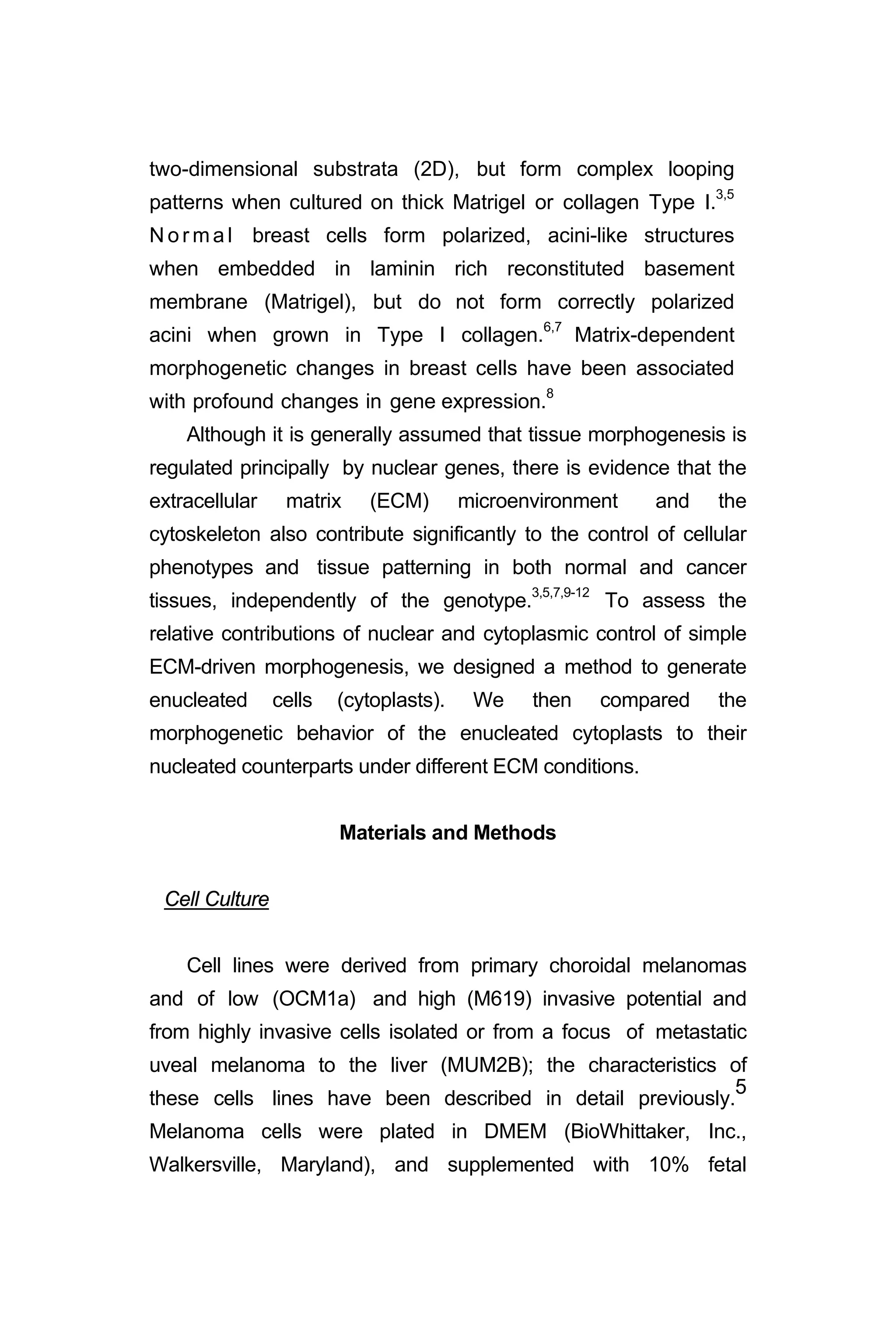 two-dimensional substrata (2D), but form complex looping
patterns when cultured on thick Matrigel or collagen Type I.3,5
N o r ma l breast cells form polarized, acini-like structures
when embedded in laminin rich reconstituted basement
membrane (Matrigel), but do not form correctly polarized
acini when grown in Type I collagen.6,7
Matrix-dependent
morphogenetic changes in breast cells have been associated
with profound changes in gene expression.8
Although it is generally assumed that tissue morphogenesis is
regulated principally by nuclear genes, there is evidence that the
extracellular matrix (ECM) microenvironment and the
cytoskeleton also contribute significantly to the control of cellular
phenotypes and tissue patterning in both normal and cancer
tissues, independently of the genotype.3,5,7,9-12
To assess the
relative contributions of nuclear and cytoplasmic control of simple
ECM-driven morphogenesis, we designed a method to generate
enucleated cells (cytoplasts). We then compared the
morphogenetic behavior of the enucleated cytoplasts to their
nucleated counterparts under different ECM conditions.
Materials and Methods
Cell Culture
Cell lines were derived from primary choroidal melanomas
and of low (OCM1a) and high (M619) invasive potential and
from highly invasive cells isolated or from a focus of metastatic
uveal melanoma to the liver (MUM2B); the characteristics of
these cells lines have been described in detail previously.
5
Melanoma cells were plated in DMEM (BioWhittaker, Inc.,
Walkersville, Maryland), and supplemented with 10% fetal
 
