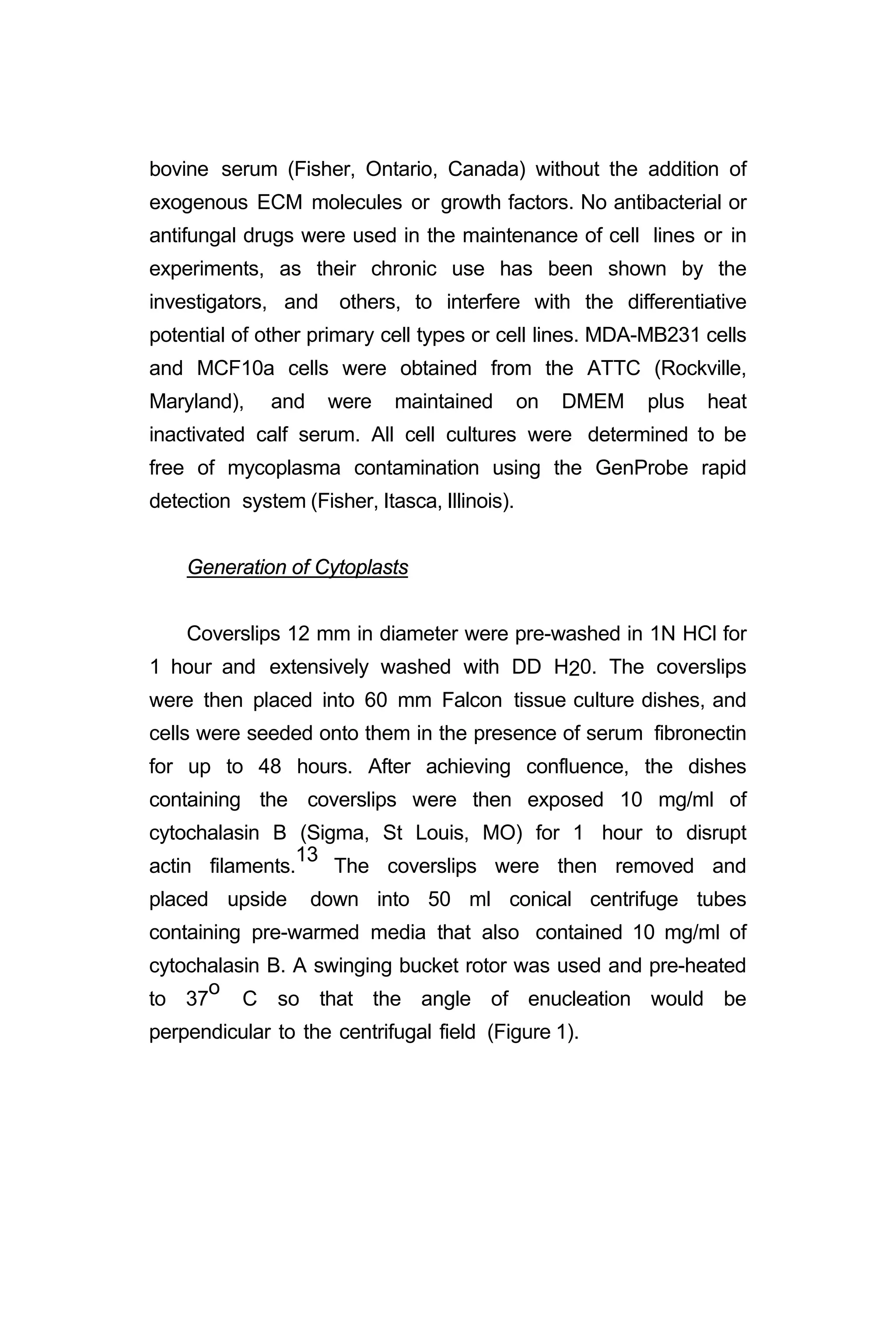 bovine serum (Fisher, Ontario, Canada) without the addition of
exogenous ECM molecules or growth factors. No antibacterial or
antifungal drugs were used in the maintenance of cell lines or in
experiments, as their chronic use has been shown by the
investigators, and others, to interfere with the differentiative
potential of other primary cell types or cell lines. MDA-MB231 cells
and MCF10a cells were obtained from the ATTC (Rockville,
Maryland), and were maintained on DMEM plus heat
inactivated calf serum. All cell cultures were determined to be
free of mycoplasma contamination using the GenProbe rapid
detection system (Fisher, Itasca, Illinois).
Generation of Cytoplasts
Coverslips 12 mm in diameter were pre-washed in 1N HCl for
1 hour and extensively washed with DD H20. The coverslips
were then placed into 60 mm Falcon tissue culture dishes, and
cells were seeded onto them in the presence of serum fibronectin
for up to 48 hours. After achieving confluence, the dishes
containing the coverslips were then exposed 10 mg/ml of
cytochalasin B (Sigma, St Louis, MO) for 1 hour to disrupt
actin filaments.
13
The coverslips were then removed and
placed upside down into 50 ml conical centrifuge tubes
containing pre-warmed media that also contained 10 mg/ml of
cytochalasin B. A swinging bucket rotor was used and pre-heated
to 37
o
C so that the angle of enucleation would be
perpendicular to the centrifugal field (Figure 1).
 