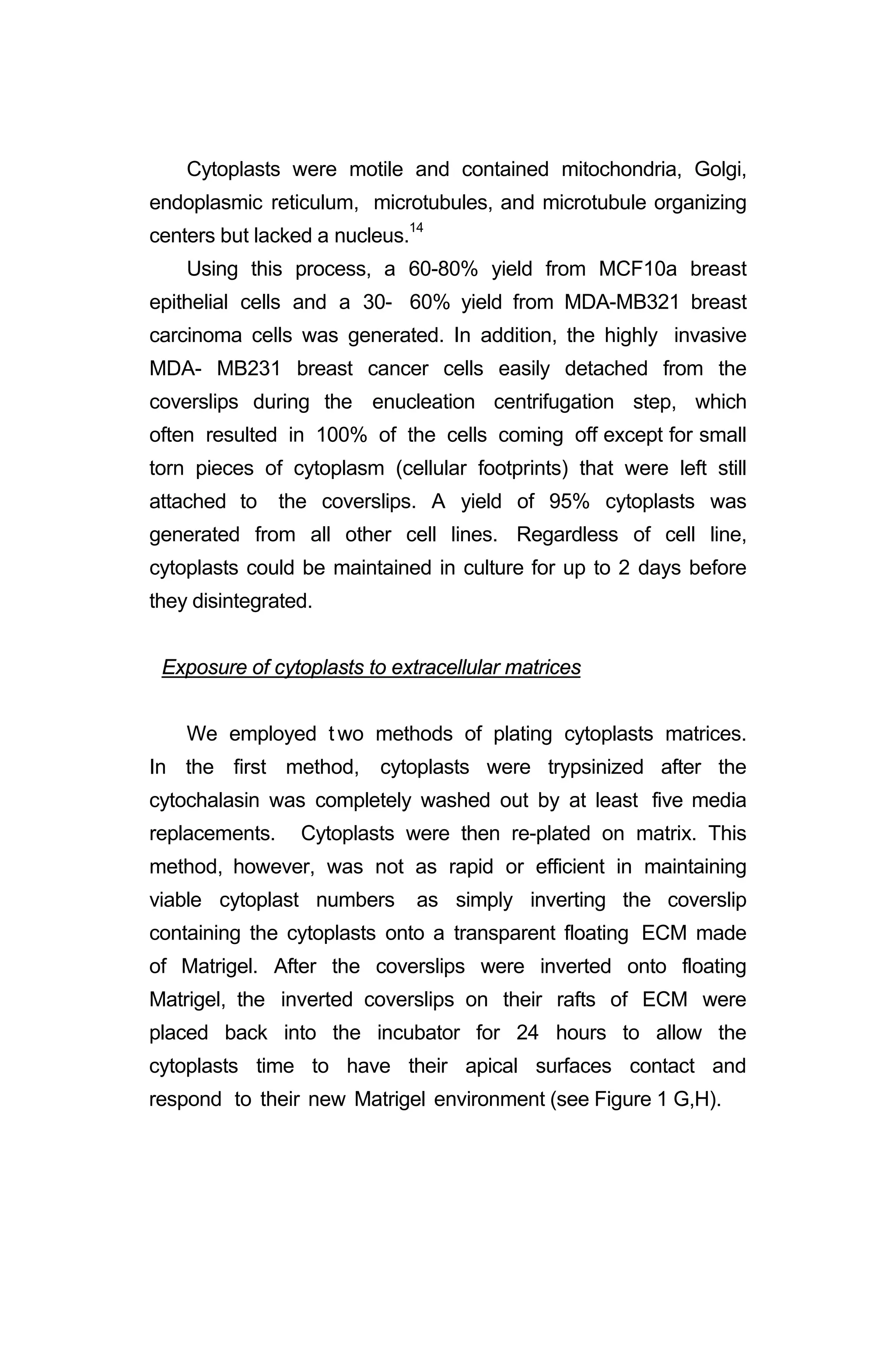 Cytoplasts were motile and contained mitochondria, Golgi,
endoplasmic reticulum, microtubules, and microtubule organizing
centers but lacked a nucleus.14
Using this process, a 60-80% yield from MCF10a breast
epithelial cells and a 30- 60% yield from MDA-MB321 breast
carcinoma cells was generated. In addition, the highly invasive
MDA- MB231 breast cancer cells easily detached from the
coverslips during the enucleation centrifugation step, which
often resulted in 100% of the cells coming off except for small
torn pieces of cytoplasm (cellular footprints) that were left still
attached to the coverslips. A yield of 95% cytoplasts was
generated from all other cell lines. Regardless of cell line,
cytoplasts could be maintained in culture for up to 2 days before
they disintegrated.
Exposure of cytoplasts to extracellular matrices
We employed t wo methods of plating cytoplasts matrices.
In the first method, cytoplasts were trypsinized after the
cytochalasin was completely washed out by at least five media
replacements. Cytoplasts were then re-plated on matrix. This
method, however, was not as rapid or efficient in maintaining
viable cytoplast numbers as simply inverting the coverslip
containing the cytoplasts onto a transparent floating ECM made
of Matrigel. After the coverslips were inverted onto floating
Matrigel, the inverted coverslips on their rafts of ECM were
placed back into the incubator for 24 hours to allow the
cytoplasts time to have their apical surfaces contact and
respond to their new Matrigel environment (see Figure 1 G,H).
 