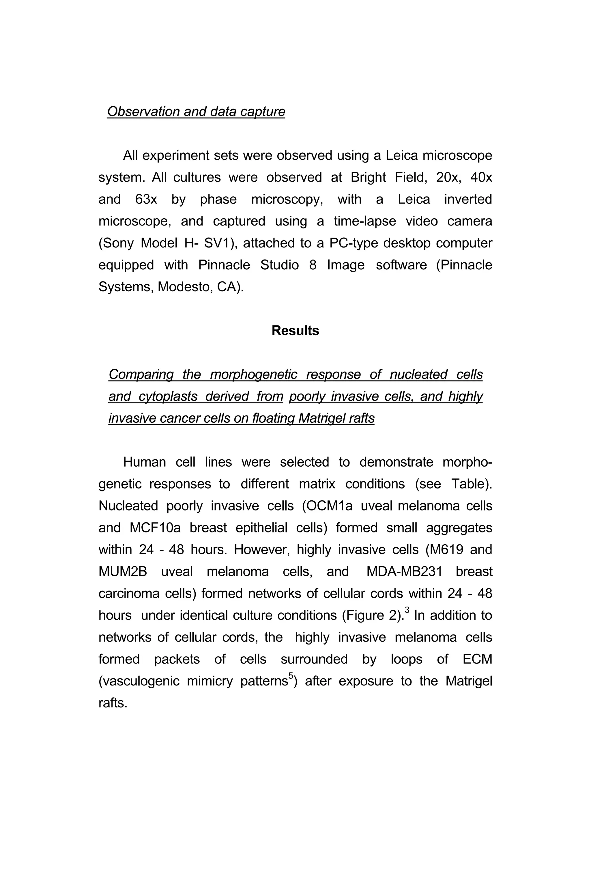 Observation and data capture
All experiment sets were observed using a Leica microscope
system. All cultures were observed at Bright Field, 20x, 40x
and 63x by phase microscopy, with a Leica inverted
microscope, and captured using a time-lapse video camera
(Sony Model H- SV1), attached to a PC-type desktop computer
equipped with Pinnacle Studio 8 Image software (Pinnacle
Systems, Modesto, CA).
Results
Comparing the morphogenetic response of nucleated cells
and cytoplasts derived from poorly invasive cells, and highly
invasive cancer cells on floating Matrigel rafts
Human cell lines were selected to demonstrate morpho-
genetic responses to different matrix conditions (see Table).
Nucleated poorly invasive cells (OCM1a uveal melanoma cells
and MCF10a breast epithelial cells) formed small aggregates
within 24 - 48 hours. However, highly invasive cells (M619 and
MUM2B uveal melanoma cells, and MDA-MB231 breast
carcinoma cells) formed networks of cellular cords within 24 - 48
hours under identical culture conditions (Figure 2).3
In addition to
networks of cellular cords, the highly invasive melanoma cells
formed packets of cells surrounded by loops of ECM
(vasculogenic mimicry patterns5
) after exposure to the Matrigel
rafts.
 