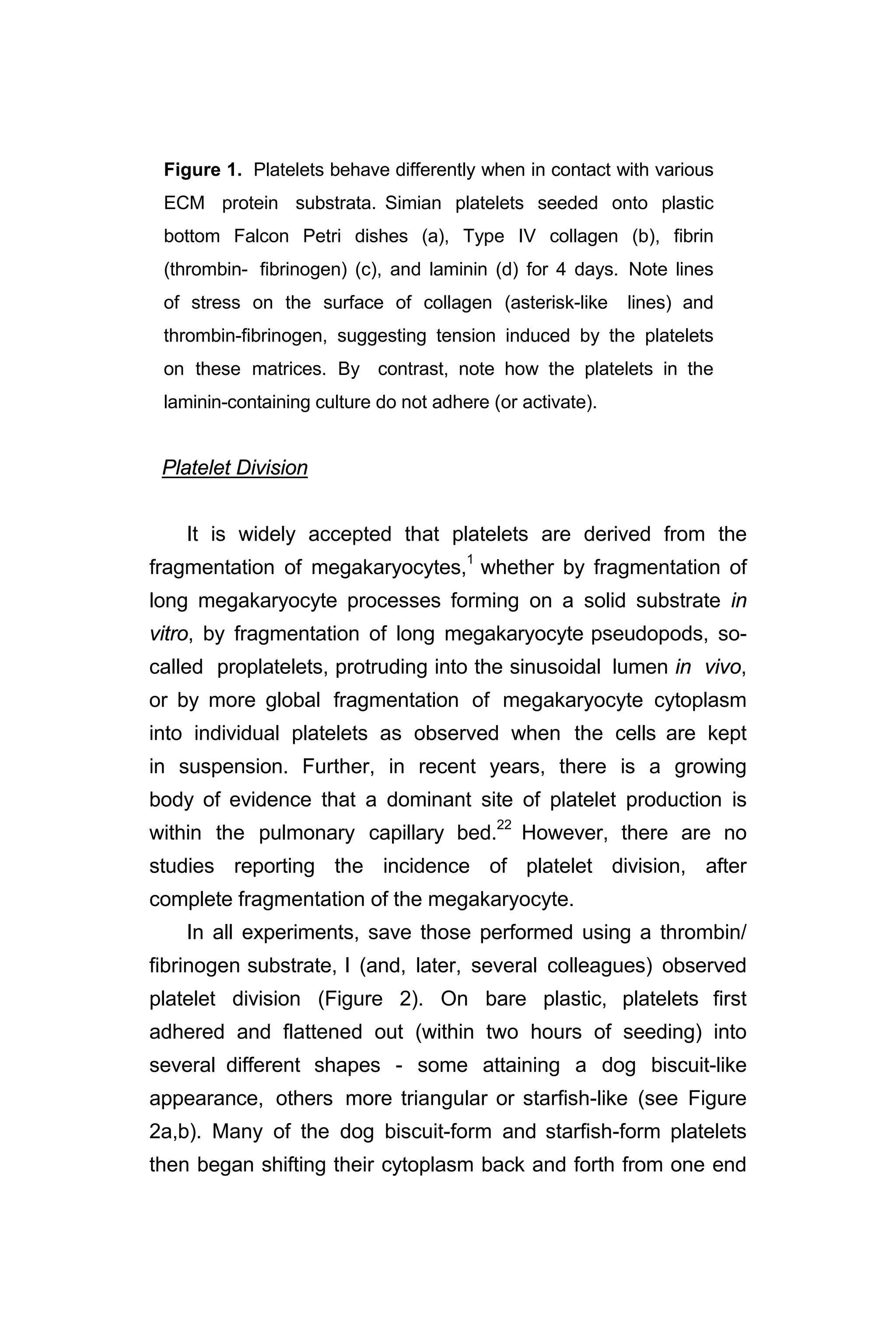 Figure 1. Platelets behave differently when in contact with various
ECM protein substrata. Simian platelets seeded onto plastic
bottom Falcon Petri dishes (a), Type IV collagen (b), fibrin
(thrombin- fibrinogen) (c), and laminin (d) for 4 days. Note lines
of stress on the surface of collagen (asterisk-like lines) and
thrombin-fibrinogen, suggesting tension induced by the platelets
on these matrices. By contrast, note how the platelets in the
laminin-containing culture do not adhere (or activate).
Platelet Division
It is widely accepted that platelets are derived from the
fragmentation of megakaryocytes,1
whether by fragmentation of
long megakaryocyte processes forming on a solid substrate in
vitro, by fragmentation of long megakaryocyte pseudopods, so-
called proplatelets, protruding into the sinusoidal lumen in vivo,
or by more global fragmentation of megakaryocyte cytoplasm
into individual platelets as observed when the cells are kept
in suspension. Further, in recent years, there is a growing
body of evidence that a dominant site of platelet production is
within the pulmonary capillary bed.22
However, there are no
studies reporting the incidence of platelet division, after
complete fragmentation of the megakaryocyte.
In all experiments, save those performed using a thrombin/
fibrinogen substrate, I (and, later, several colleagues) observed
platelet division (Figure 2). On bare plastic, platelets first
adhered and flattened out (within two hours of seeding) into
several different shapes - some attaining a dog biscuit-like
appearance, others more triangular or starfish-like (see Figure
2a,b). Many of the dog biscuit-form and starfish-form platelets
then began shifting their cytoplasm back and forth from one end
 