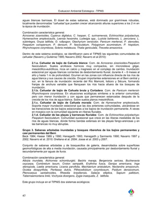 Evaluacion Ambiental Estrategica - TIPNIS


aguas blancas barrosas. El dosel de estas sabanas, está dominado por gramíneas robustas,
localmente denominadas “cañuelas”que pueden crecer alcanzando alturas superiores a los 2 m en
la época de inundación.

Combinación característica general:
Acroceras zizanioides, Cyperus digitatus, C. haspan, C. surinamensis, Echinochloa polystachya,
Hymenachne amplexicaulis, Leersia hexandra, Ludwigia spp., Luziola bahiensis, L. peruviana, L.
subintegra, Oryza latifolia, O. rufipogon, Otachyrium versicolor, Panicum mertensii, P. stenodes,
Paspalum conspersum, P. densum, P. fasciculatum, Polygonum acuminatum, P. hispidum,
Rhynchospora corymbosa, Scleria melaleuca, Thalia geniculata, Thevetia amazonica.

Dentro de este sistema ecológico, se identificaron para el TIPNIS las siguientes comunidades de
cañuelar (Navarro y Gutiérrez 1995; Navarro 2002; Navarro et al 2010):

       2.1.a. Cañuelar de bajío de Cañuela blanca: Com. de Acroceras zizanioides-Paspalum
       fasciculatum. Suelos arcillosos húmicos muy compactos, sin microrelieve gilgai,
       mesotrófico-eutróficos, ricos en calcio y magnesio en el complejo de cambio. Inundación
       estacional por aguas blancas corrientes de desbordamiento fluvial, durante 4 – 6 meses al
       año y hasta 1 m de profundidad. Ocurren en las zonas con influencia directa de los ríos de
       agua blanca y sus cauces de crecida. Ocupan importantes extensiones en el Beni central y
       sur, en la llanura de inundación reciente del Río Mamoré, Isiboro y Sécure, formando
       franjas de anchura variable que flanquean los ríos hacia afuera de los bosques de
       inundación.
       2.1.b. Cañuelar de bajío de Cañuela bruta y Cortadera: Com. de Panicum mertensii-
       Rhynchospora corymbosa. En situaciones ecológicas similares a la anterior comunidad,
       pero con menor inundación y con aguas que permanecen estancadas después de la
       crecida de los ríos de agua blanca. Sobre suelos planos mesotróficos.
       2.1.c. Cañuelar de bajío de Cañuela morada: Com. de Hymenachne amplexicaulis.
       Soporta mayor inundación estacional que las dos anteriores comunidades, ubicándose en
       las transiciones de los bajíos estacionales a los bajíos de inundación permanente. A veces
       en mosaico con la comunidad siguiente en riberas fluviales.
       2.1.d. Cañuelar de las playas y barrancas fluviales: Com. de Echinochloa polystachya-
       Paspalum fasciculatum. Comunidad sucesional que crece en las riberas inestables de los
       ríos de aguas blancas, donde forma bandas extensas en las playas fango-arenosas y en
       las barrancas no muy abruptas.

Grupo 3. Sabanas arboladas inundadas y bosques ribereños de los bajíos permanentes y
casi permanentes del Beni.
Beck 1984; Haase 1989 y 1990; Hanagarth 1993; Hanagarth y Sarmiento 1990; Navarro 1997 y
2002; Navarro et al. 2010; Orellana et al. 2004; Josse et al. 2003 y 2007.

Conjunto de sabanas arboladas y de bosquecillos de galería, desarrollados sobre superficies
geomorfológicas de alta a media inundación, causada principalmente por desbordamiento fluvial y
secundariamente por aguas de lluvia.

Combinación característica general:
Albizia inundata, Alchornea schomburgkii, Bactris maraja, Bergeronia sericea, Buchenavia
oxycarpa, Combretum laxum, Croton sampatik, Erythrina fusca, Genipa americana, Inga
stenopoda, Laetia americana, Licania parvifolia, Machaerium aristulatum, Nectandra amazonum,
Ocotea diospyrifolia, Peritassa dulcis, Pithecellobium corymbosum, Psidium densicomum,
Pterocarpus santalinoides, Rheedia brasiliensis, Salacia elliptica, Sapium pallidum,
Tabernaemontana linkii, Vochysia divergens, Zygia inaequalis, Z. latifolia.

Este grupo incluye en el TIPNIS dos sistemas ecológicos:




47
 