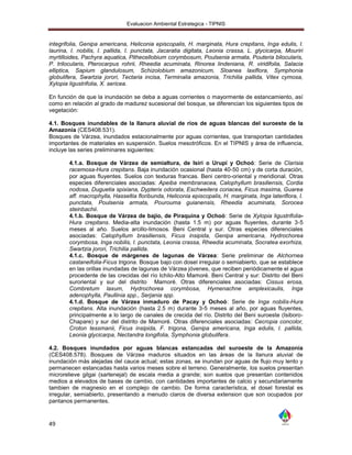 Evaluacion Ambiental Estrategica - TIPNIS


integrifolia, Genipa americana, Heliconia episcopalis, H. marginata, Hura crepitans, Inga edulis, I.
laurina, I. nobilis, I. pallida, I. punctata, Jacaratia digitata, Leonia crassa, L. glycicarpa, Mouriri
myrtilloides, Pachyra aquatica, Pithecellobium corymbosum, Poulsenia armata, Pouteria bilocularis,
P. trilocularis, Pterocarpus rohrii, Rheedia acuminata, Rinorea lindeniana, R. viridifolia, Salacia
elliptica, Sapium glandulosum, Schizolobium amazonicum, Sloanea laxiflora, Symphonia
globulifera, Swartzia jorori, Tectaria incisa, Terminalia amazonia, Trichilia pallida, Vitex cymosa,
Xylopia ligustrifolia, X. sericea.

En función de que la inundación se deba a aguas corrientes o mayormente de estancamiento, así
como en relación al grado de madurez sucesional del bosque, se diferencian los siguientes tipos de
vegetación:

4.1. Bosques inundables de la llanura aluvial de ríos de aguas blancas del suroeste de la
Amazonía (CES408.531).
Bosques de Várzea, inundados estacionalmente por aguas corrientes, que transportan cantidades
importantes de materiales en suspensión. Suelos mesotróficos. En el TIPNIS y área de influencia,
incluye las series preliminares siguientes:

        4.1.a. Bosque de Várzea de semialtura, de Isiri o Urupí y Ochoó: Serie de Clarisia
        racemosa-Hura crepitans. Baja inundación ocasional (hasta 40-50 cm) y de corta duración,
        por aguas fluyentes. Suelos con texturas francas. Beni centro-oriental y meridional. Otras
        especies diferenciales asociadas: Apeiba membranacea, Calophyllum brasiliensis, Cordia
        nodosa, Duguetia spixiana, Dypterix odorata, Eschweilera coriacea, Ficus maxima, Guarea
        aff. macrophylla, Hasseltia floribunda, Heliconia episcopalis, H. marginata, Inga lateriflora, I.
        punctata, Poulsenia armata, Pourouma guianensis, Rheedia acuminata, Sorocea
        steinbachii.
        4.1.b. Bosque de Várzea de bajío, de Piraquina y Ochoó: Serie de Xylopia ligustrifolia-
        Hura crepitans. Media-alta inundación (hasta 1.5 m) por aguas fluyentes, durante 3-5
        meses al año. Suelos arcillo-limosos. Beni Central y sur. Otras especies diferenciales
        asociadas: Calophyllum brasiliensis, Ficus insipida, Genipa americana, Hydrochorea
        corymbosa, Inga nobilis, I. punctata, Leonia crassa, Rheedia acuminata, Socratea exorhiza,
        Swartzia jorori, Trichilia pallida.
        4.1.c. Bosque de márgenes de lagunas de Várzea: Serie preliminar de Alchornea
        castaneifolia-Ficus trigona. Bosque bajo con dosel irregular o semiabierto, que se establece
        en las orillas inundadas de lagunas de Várzea jóvenes, que reciben periódicamente el agua
        procedente de las crecidas del río Ichilo-Alto Mamoré. Beni Central y sur: Distrito del Beni
        suroriental y sur del distrito Mamoré. Otras diferenciales asociadas: Cissus erosa,
        Combretum laxum, Hydrochorea corymbosa, Hymenachne amplexicaulis, Inga
        adenophylla, Paullinia spp., Serjania spp.
        4.1.d. Bosque de Várzea inmaduro de Pacay y Ochoó: Serie de Inga nobilis-Hura
        crepitans. Alta inundación (hasta 2.5 m) durante 3-5 meses al año, por aguas fluyentes,
        principalmente a lo largo de canales de crecida del río. Distrito del Beni suroeste (Isiboro-
        Chapare) y sur del distrito de Mamoré. Otras diferenciales asociadas: Cecropia concolor,
        Croton tessmanii, Ficus insipida, F. trigona, Genipa americana, Inga edulis, I. pallida,
        Leonia glycicarpa, Nectandra longifolia, Symphonia globulifera.

4.2. Bosques inundados por aguas blancas estancadas del suroeste de la Amazonia
(CES408.578). Bosques de Várzea maduros situados en las áreas de la llanura aluvial de
inundación más alejadas del cauce actual; estas zonas, se inundan por aguas de flujo muy lento y
permanecen estancadas hasta varios meses sobre el terreno. Generalmente, los suelos presentan
microrelieve gilgai (sartenejal) de escala media a grande; son suelos que presentan contenidos
medios a elevados de bases de cambio, con cantidades importantes de calcio y secundariamente
tambien de magnesio en el complejo de cambio. De forma característica, el dosel forestal es
irregular, semiabierto, presentando a menudo claros de diversa extension que son ocupados por
pantanos permanentes.



49
 