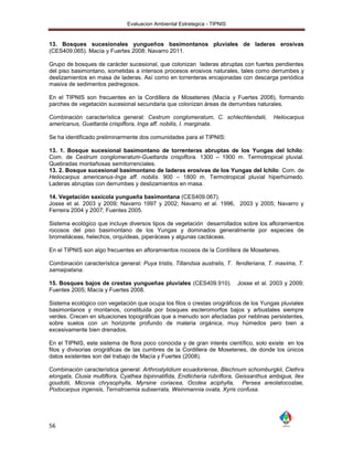 Evaluacion Ambiental Estrategica - TIPNIS


13. Bosques sucesionales yungueños basimontanos pluviales de laderas erosivas
(CES409.065). Macía y Fuertes 2008; Navarro 2011.

Grupo de bosques de carácter sucesional, que colonizan laderas abruptas con fuertes pendientes
del piso basimontano, sometidas a intensos procesos erosivos naturales, tales como derrumbes y
deslizamientos en masa de laderas. Así como en torrenteras encajonadas con descarga periódica
masiva de sedimentos pedregosos.

En el TIPNIS son frecuentes en la Cordillera de Mosetenes (Macía y Fuertes 2008), formando
parches de vegetación sucesional secundaria que colonizan áreas de derrumbes naturales.

Combinación característica general: Cestrum conglomeratum, C. schlechtendalii,           Heliocarpus
americanus, Guettarda crispiflora, Inga aff. nobilis, I. marginata.

Se ha identificado preliminarmente dos comunidades para el TIPNIS:

13. 1. Bosque sucesional basimontano de torrenteras abruptas de los Yungas del Ichilo:
Com. de Cestrum conglomeratum-Guettarda crispiflora. 1300 – 1900 m. Termotropical pluvial.
Quebradas montañosas semitorrenciales.
13. 2. Bosque sucesional basimontano de laderas erosivas de los Yungas del Ichilo: Com. de
Heliocarpus americanus-Inga aff. nobilis. 900 – 1800 m. Termotropical pluvial hiperhúmedo.
Laderas abruptas con derrumbes y deslizamientos en masa.

14. Vegetación saxícola yungueña basimontana (CES409.067).
Josse et al. 2003 y 2009; Navarro 1997 y 2002; Navarro et al. 1996, 2003 y 2005; Navarro y
Ferreira 2004 y 2007; Fuentes 2005.

Sistema ecológico que incluye diversos tipos de vegetación desarrollados sobre los afloramientos
rocosos del piso basimontano de los Yungas y dominados generalmente por especies de
bromeliáceas, helechos, orquídeas, piperáceas y algunas cactáceas.

En el TIPNIS son algo frecuentes en afloramientos rocosos de la Cordillera de Mosetenes.

Combinación característica general: Puya tristis, Tillandsia australis, T. fendleriana, T. maxima, T.
samaipatana.

15. Bosques bajos de crestas yungueñas pluviales (CES409.910).            Josse et al. 2003 y 2009;
Fuentes 2005; Macía y Fuertes 2008.

Sistema ecológico con vegetación que ocupa los filos o crestas orográficos de los Yungas pluviales
basimontanos y montanos, constituida por bosques escleromorfos bajos y arbustales siempre
verdes. Crecen en situaciones topográficas que a menudo son afectadas por neblinas persistentes,
sobre suelos con un horizonte profundo de materia orgánica, muy húmedos pero bien a
excesivamente bien drenados.

En el TIPNIS, este sistema de flora poco conocida y de gran interés científico, solo existe en los
filos y divisorias orográficas de las cumbres de la Cordillera de Mosetenes, de donde los únicos
datos existentes son del trabajo de Macía y Fuertes (2008).

Combinación característica general: Arthrostylidium ecuadoriense, Blechnum schomburgkii, Clethra
elongata, Clusia multiflora, Cyathea bipinnatifida, Endlicheria rubriflora, Geissanthus ambigua, Ilex
goudotii, Miconia chrysophylla, Myrsine coriacea, Ocotea aciphylla, Persea areolatocostae,
Podocarpus ingensis, Ternstroemia subserrata, Weinmannia ovata, Xyris confusa.




56
 