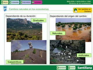 BIOLOGÍA Y GEOLOGÍA 4.º ESO
Dinámica de los ecosistemas
INICIO ESQUEMA RECURSOS INTERNET
Cambios naturales en los ecosistemas
SALIRANTERIOR
Dependiendo de su duración: Dependiendo del origen del cambio:
Graduales
Naturales
Artificiales
Catastróficos
Ver cambios en
Doñana
 