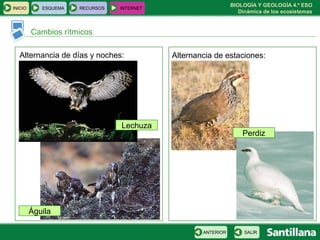 BIOLOGÍA Y GEOLOGÍA 4.º ESO
Dinámica de los ecosistemas
INICIO ESQUEMA RECURSOS INTERNET
Cambios rítmicos
SALIRANTERIOR
Alternancia de días y noches: Alternancia de estaciones:
Lechuza
Águila
Perdiz
 