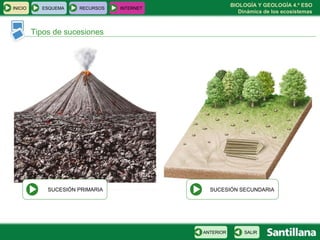BIOLOGÍA Y GEOLOGÍA 4.º ESO
Dinámica de los ecosistemas
INICIO ESQUEMA RECURSOS INTERNET
Tipos de sucesiones
SALIRANTERIOR
SUCESIÓN PRIMARIA SUCESIÓN SECUNDARIA
 