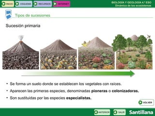 BIOLOGÍA Y GEOLOGÍA 4.º ESO
Dinámica de los ecosistemas
INICIO ESQUEMA RECURSOS INTERNET
Tipos de sucesiones
SALIRANTERIOR
• Se forma un suelo donde se establecen los vegetales con raíces.
• Aparecen las primeras especies, denominadas pioneras o colonizadoras.
• Son sustituidas por las especies especialistas.
Sucesión primaria
VOLVER
 