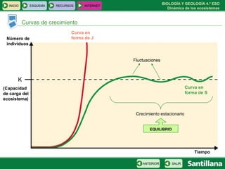 BIOLOGÍA Y GEOLOGÍA 4.º ESO
Dinámica de los ecosistemas
INICIO ESQUEMA RECURSOS INTERNET
Curvas de crecimiento
SALIRANTERIOR
Número de
individuos
Tiempo
Curva en
forma de J
Curva en
forma de S
(Capacidad
de carga del
ecosistema)
K
Fluctuaciones
Crecimiento estacionario
EQUILIBRIO
 
