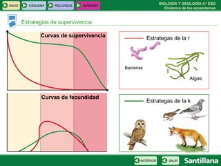 BIOLOGÍA Y GEOLOGÍA 4.º ESO
Dinámica de los ecosistemas
Estrategas de la r
Estrategas de la k
INICIO ESQUEMA RECURSOS INTERNET
Estrategias de supervivencia
SALIRANTERIOR
Algas
Bacterias
Curvas de supervivencia
Curvas de fecundidad
 
