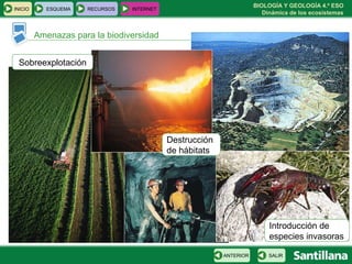 BIOLOGÍA Y GEOLOGÍA 4.º ESO
Dinámica de los ecosistemas
INICIO ESQUEMA RECURSOS INTERNET
Amenazas para la biodiversidad
SALIRANTERIOR
Introducción de
especies invasoras
Sobreexplotación
Destrucción
de hábitats
 