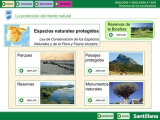BIOLOGÍA Y GEOLOGÍA 4.º ESO
Dinámica de los ecosistemas
INICIO ESQUEMA RECURSOS INTERNET
La protección del medio natural
SALIRANTERIOR
Ley de Conservación de los Espacios
Naturales y de la Flora y Fauna silvestre
Espacios naturales protegidos
Parques
AMPLIAR
AMPLIAR
AMPLIAR
AMPLIAR
Reservas
Paisajes
protegidos
Monumentos
naturales
Reservas de
la Biosfera
AMPLIAR
 