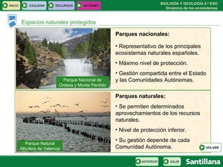 BIOLOGÍA Y GEOLOGÍA 4.º ESO
Dinámica de los ecosistemas
INICIO ESQUEMA RECURSOS INTERNET
Espacios naturales protegidos
SALIRANTERIOR
VOLVER
Parques nacionales:
Parques naturales:
• Representativo de los principales
ecosistemas naturales españoles.
• Máximo nivel de protección.
• Gestión compartida entre el Estado
y las Comunidades Autónomas.Parque Nacional de
Ordesa y Monte Perdido
Parque Natural
Albufera de Valencia
• Se permiten determinados
aprovechamientos de los recursos
naturales.
• Nivel de protección inferior.
• Su gestión depende de cada
Comunidad Autónoma.
 