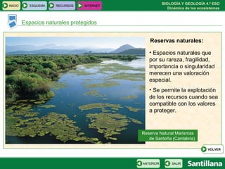 BIOLOGÍA Y GEOLOGÍA 4.º ESO
Dinámica de los ecosistemas
INICIO ESQUEMA RECURSOS INTERNET
Espacios naturales protegidos
SALIRANTERIOR
VOLVER
Reservas naturales:
• Espacios naturales que
por su rareza, fragilidad,
importancia o singularidad
merecen una valoración
especial.
• Se permite la explotación
de los recursos cuando sea
compatible con los valores
a proteger.
Reserva Natural Marismas
de Santoña (Cantabria)
 