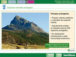 BIOLOGÍA Y GEOLOGÍA 4.º ESO
Dinámica de los ecosistemas
INICIO ESQUEMA RECURSOS INTERNET
Espacios naturales protegidos
SALIRANTERIOR
VOLVER
Paisajes protegidos:
• Poseen valores estéticos
y culturales de especial
interés.
• Actualmente existen
en España más de 550
espacios protegidos.
• Su declaración
corresponde a cada
Comunidad Autónoma.
Paisaje Protegido San Juan de la
Peña y Monte Oroel (Aragón)
 