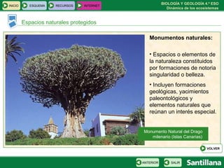 BIOLOGÍA Y GEOLOGÍA 4.º ESO
Dinámica de los ecosistemas
INICIO ESQUEMA RECURSOS INTERNET
Espacios naturales protegidos
SALIRANTERIOR
VOLVER
Monumentos naturales:
• Espacios o elementos de
la naturaleza constituidos
por formaciones de notoria
singularidad o belleza.
• Incluyen formaciones
geológicas, yacimientos
paleontológicos y
elementos naturales que
reúnan un interés especial.
Monumento Natural del Drago
milenario (Islas Canarias)
 