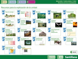 BIOLOGÍA Y GEOLOGÍA 4.º ESO
Dinámica de los ecosistemas
INICIO ESQUEMA RECURSOS INTERNET
INICIO
Recursos para la explicación de la unidad
SALIRANTERIOR
Enlaces
Flujo de energía Flujo de
materia
Biomasa Producción Productividad
Los ciclos
biogeoquímicos
Cambios
naturales
en los
ecosistemas
Cambios
paroxísmicos
Cambios
rítmicos
Los grandes
cambios
ambientales
Cambios
generales en
una sucesión
Comunidad
clímax
Tipos de
sucesiones
Autorregulación
de las
poblaciones
Curvas de
crecimiento
Las plagas y su
control
Clasificación
de recursos
Amenazas para
la biodiversidad
Clasificación
de impactos
ambientales
Protección del
medio
Estrategias de
supervivencia
 