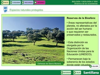 BIOLOGÍA Y GEOLOGÍA 4.º ESO
Dinámica de los ecosistemas
INICIO ESQUEMA RECURSOS INTERNET
Espacios naturales protegidos
SALIRANTERIOR
VOLVER
Reservas de la Biosfera:
• Áreas representativas del
planeta, no alterados por la
acción del ser humano
o que requieren ser
preservados y restaurados.
• Esta distinción es
otorgada por la
Organización de las
Naciones Unidas para la
Educación (UNESCO).
• Permanecen bajo la
soberanía de los estados
donde están situadas.
Dehesas de Sierra Morena
 