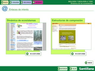 BIOLOGÍA Y GEOLOGÍA 4.º ESO
Dinámica de los ecosistemas
INICIO ESQUEMA RECURSOS INTERNET
Enlaces de interés
Dinámica de ecosistemas
IR A ESTA WEB
INICIO
Estructuras de compresión
IR A ESTA WEB
SALIRANTERIOR
 