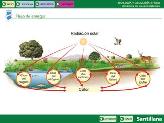 BIOLOGÍA Y GEOLOGÍA 4.º ESO
Dinámica de los ecosistemas
Flujo de energía
INICIO ESQUEMA RECURSOS INTERNET
SALIRANTERIOR
Radiación solar
Ciclo
del
oxigeno
Ciclo
del
nitrógeno
Calor
Ciclo
del
carbono
Ciclo
del
fósforo
Ciclo
del
azufre
 