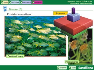BIOLOGÍA Y GEOLOGÍA 4.º ESO
Dinámica de los ecosistemas
INICIO ESQUEMA RECURSOS INTERNET
Biomasa (B)
SALIRANTERIOR
Productores
Ecosistemas acuáticos
Consumidores
Biomasa
 