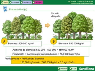BIOLOGÍA Y GEOLOGÍA 4.º ESO
Dinámica de los ecosistemas
INICIO ESQUEMA RECURSOS INTERNET
Productividad (p)
SALIRANTERIOR
A B
Biomasa: 500 000 kg/m2
Biomasa: 650 000 kg/m2
Un año
después
Aumento de biomasa: 650 000 – 500 000 = 150 000 kg/m2
Producción = Aumento de biomasa/tiempo = 150 000 kg/m2
/año
Productividad = Producción/ Biomasa
150 000 kg/m2
/año / 500 000 kg/m2
= 0,3 kg/m2
/año
 