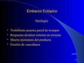 13
Embarzo EctópicoEmbarzo Ectópico
Patología:
• Trofoblasto penetra pared de trompas
• Respuesta desidual mínima en estroma
• Muerte prematura del producto
• Erosión de vasculatura
NEFM
 