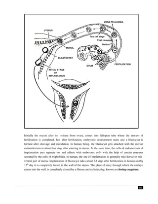 embryology (theory) | PDF