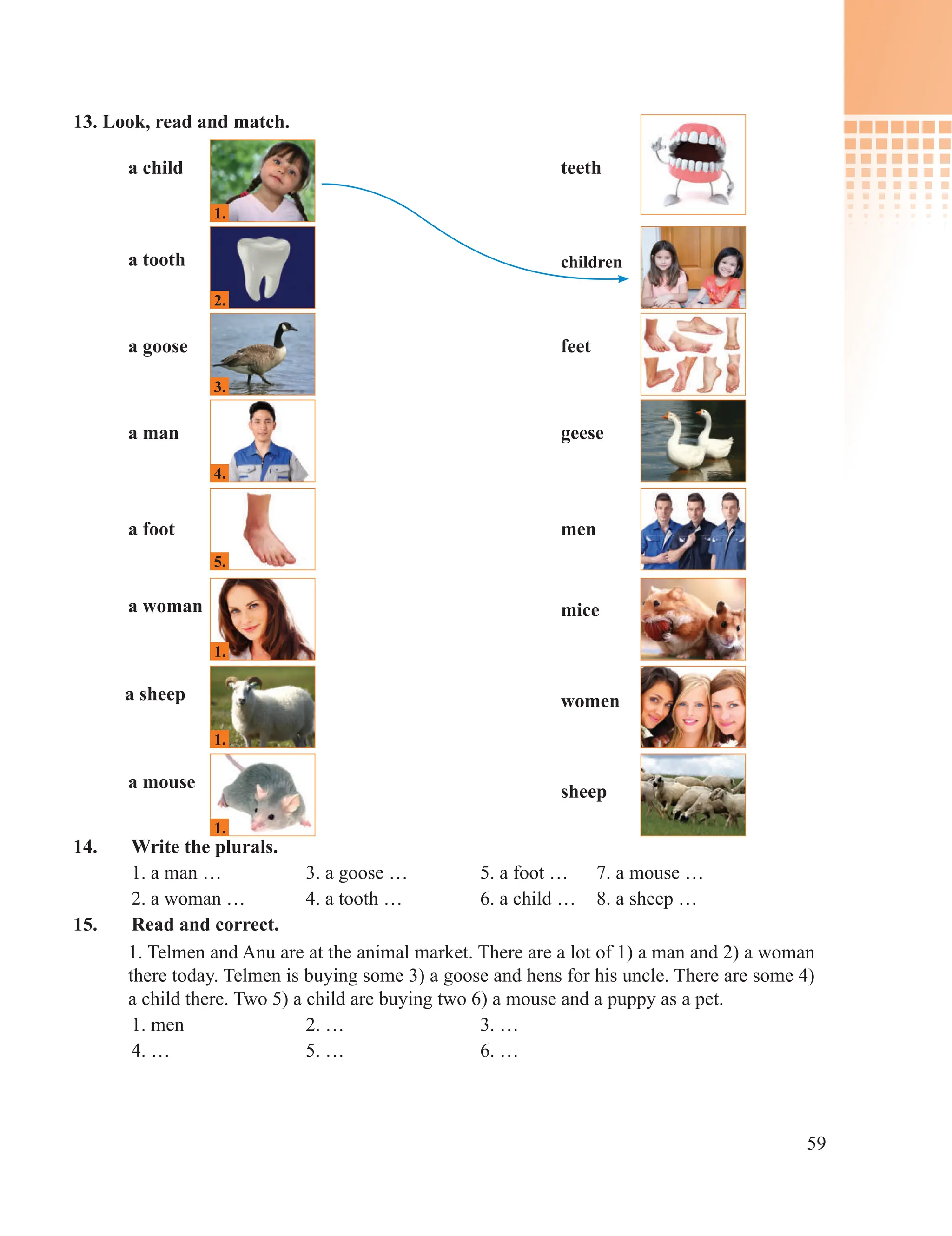 59
13. Look, read and match.
14. Write the plurals.
1. a man … 3. a goose … 5. a foot … 7. a mouse …
2. a woman … 4. a tooth … 6. a child … 8. a sheep …
15. Read and correct.
1. Telmen and Anu are at the animal market. There are a lot of 1) a man and 2) a woman
there today. Telmen is buying some 3) a goose and hens for his uncle. There are some 4)
a child there. Two 5) a child are buying two 6) a mouse and a puppy as a pet.
1. men 2. … 3. …
4. … 5. … 6. …
a child teeth
a woman
women
a sheep
sheep
a mouse
mice
a tooth
a goose feet
a man geese
a foot men
children
1.
1.
1.
1.
2.
3.
4.
5.
 