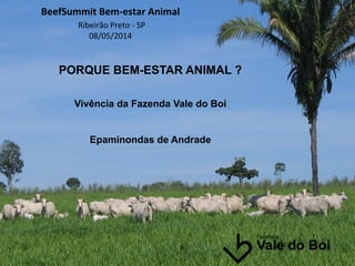 BeefSummit	
  Bem-­‐estar	
  Animal	
  
	
  Ribeirão	
  Preto	
  -­‐	
  SP	
  
08/05/2014	
  
	
  
	
  
PORQUE BEM-ESTAR ANIMAL ?
Vivência da Fazenda Vale do Boi
Epaminondas de Andrade
 