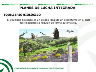 El equilibrio biológico es un estado ideal de un ecosistema en el cual
las relaciones se regulan de forma automática.
PLANES DE LUCHA INTEGRADA
EQUILIBRIO BIOLÓGICO
 