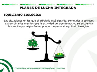 PLANES DE LUCHA INTEGRADA
EQUILIBRIO BIOLÓGICO
Las situaciones en las que el arbolado está decaído, sometidos a estreses
extraordinarios o en los que la actividad del agente nocivo se encuentra
favorecida por algún factor, puede romperse el equilibrio biológico.
 