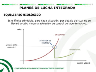 PLANES DE LUCHA INTEGRADA
EQUILIBRIO BIOLÓGICO
Es el límite admisible, para cada situación, por debajo del cual no se
llevará a cabo ninguna actuación de control del agente nocivo.
 