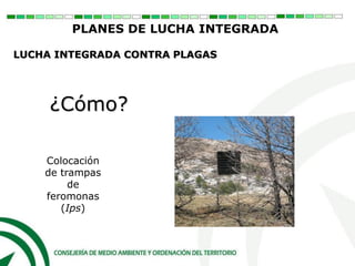 ¿Cómo?
Colocación
de trampas
de
feromonas
(Ips)
PLANES DE LUCHA INTEGRADA
LUCHA INTEGRADA CONTRA PLAGAS
 